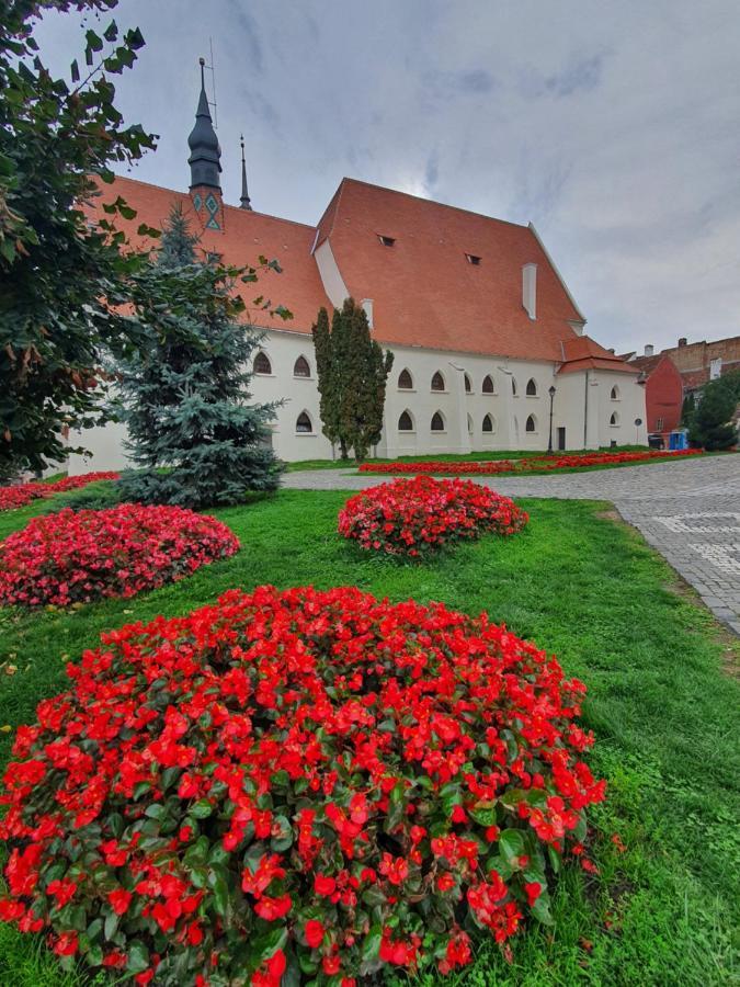 Via Transilvanica Sighisoara Hotel Bagian luar foto